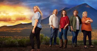Christine Brown’s Untold Struggle Could Redefine ‘Sister Wives’ Forever