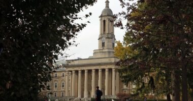 College Students Can Take a Class to Learn How to Steal