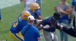 A pair of Pitt players were seen fighting with the ball boy after a touchdown against Louisville