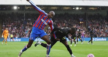 Crystal Palace were held to a 0-0 draw by Sunderland at Selhurst Park on Saturday afternoon