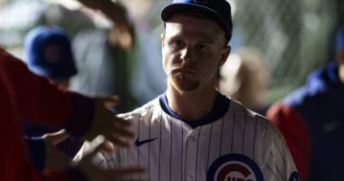 Cubs Clinch: Cade Horton's Enticing Wrigley Playoff Dream
