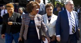 Curren Price, Karen Bass, and Maxine Waters Grievance Machine Exposed – RedState