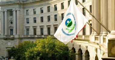 D.C. Circuit Agrees Trump Can Terminate EPA 'Climate' Grants