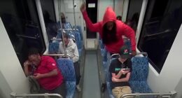 DOJ Confirms Possible Federal Hate Crime Charges for 'I Got that White Girl' Train Murderer.