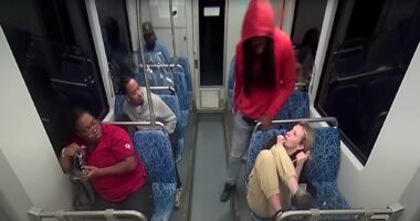 DOJ, FBI Hit 'I Got That White Girl' Train Killer With Federal Charges.