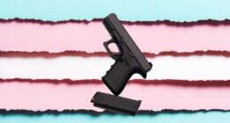 gun on trans flag