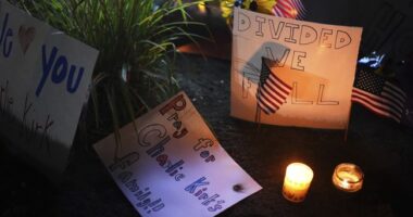 Deconstructing the Narrative of the Left