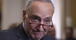 Democrats Should Shut Down the Government (and Damage the Economy) – HotAir
