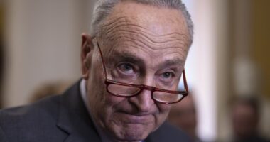 Democrats Should Shut Down the Government (and Damage the Economy) – HotAir