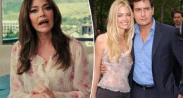 Denise Richards made Charlie Sheen's hookers 'white trash' sandwiches after actor's drug-fueled bender