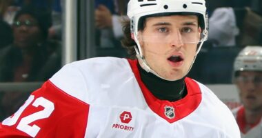 Detroit Red Wings' Playoff Hopes Could Rest With 21-Year-Old Star