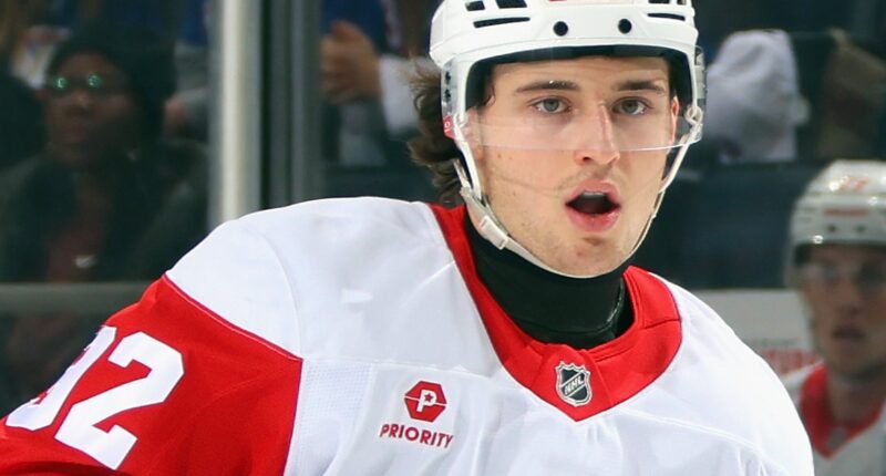 Detroit Red Wings' Playoff Hopes Could Rest With 21-Year-Old Star