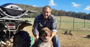 Dezi Freeman manhunt day 14 LIVE updates: Shattered widow of cop Neal Thompson allegedly gunned down by Dezi Freeman is comforted by loved ones at moving funeral