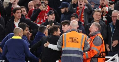 Diego Simeone tussled with jubilant Liverpool fans after the latest of winners from Virgil van Dijk in added time