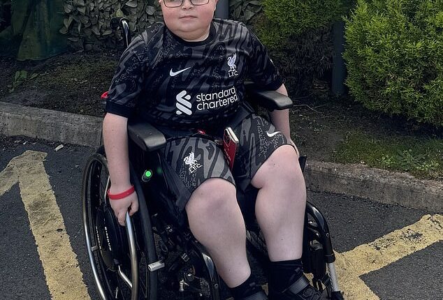 A schoolboy was left sobbing after EasyJet staff made him ditch his wheelchair battery on a flight back from Disneyland Paris