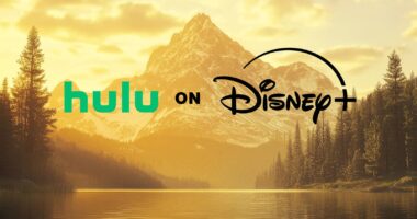 Disney+ And Hulu Subscription Price Hike: What You Need To Know