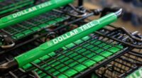 Dollar Tree says higher-income customers are still driving its growth. But the stock is tumbling.