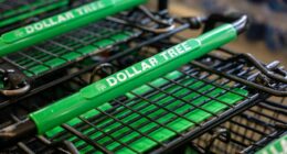 Dollar Tree says higher-income customers are still driving its growth. But the stock is tumbling.