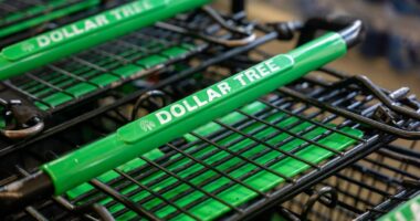 Dollar Tree says higher-income customers are still driving its growth. But the stock is tumbling.