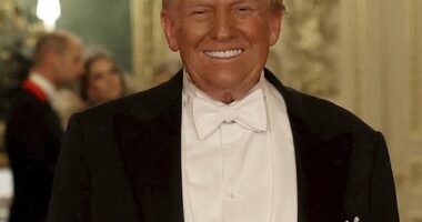 Donald Trump warns Seth Meyers is 'next' while celebrating Jimmy Kimmel's 'cancelation' as 'great news for America'