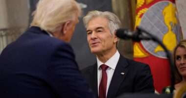 Dr. Oz is saving the government more money than Elon Musk and ‘DOGE’ ever did