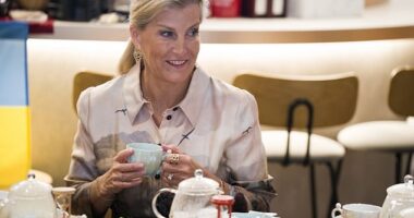 Sophie, Duchess of Edinburgh is pictured visiting the Ukraine Mental Health Exchange Center in Tokyo