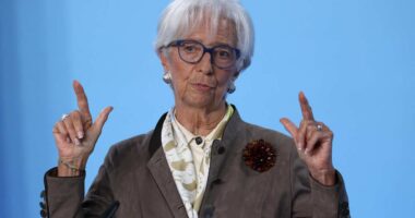 ECB signals it may be done cutting rates as Fed gets ready to resume easing