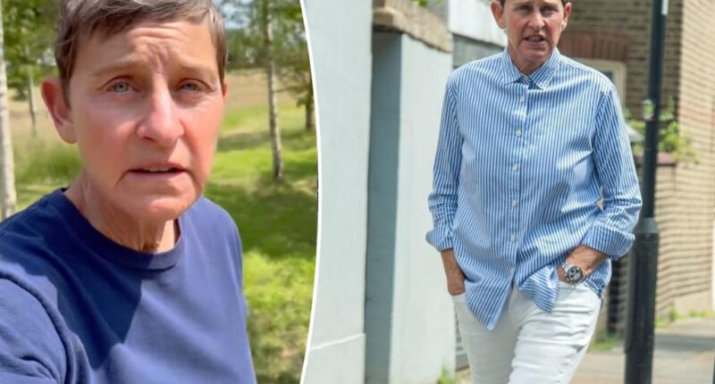 Ellen DeGeneres accused of T-boning car in new lawsuit