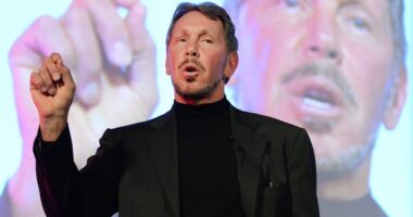 Elon Musk still leads the billionaires, but Larry Ellison is coming up fast