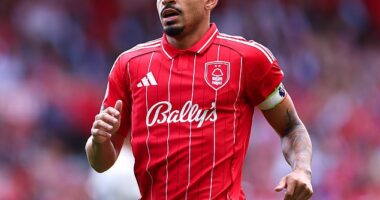 Morgan Gibbs-White reportedly faces a court hearing after failing to register his XL bully dog