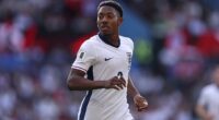 Arsenal defender Myles Lewis-Skelly has been dropped from the England squad to face Serbia