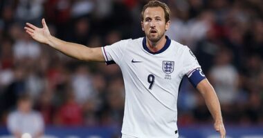 England's home kit for next summer's FIFA World Cup has reportedly been leaked online