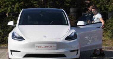 Even a Tesla Model Y safety probe can’t stop the stock’s rally