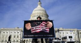 FBI May Have Had Hundreds of Agents Undercover in the Crowd – RedState