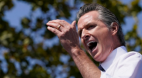 Fed-Up White House Opens Up a Can on Newsom, Walz, Other Anti-ICE Dems in Receipt-Filled Fact Drop – RedState