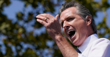 Fed-Up White House Opens Up a Can on Newsom, Walz, Other Anti-ICE Dems in Receipt-Filled Fact Drop – RedState