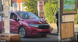 A woman driving a red minivan crashed through the KIPONA Festival in Pennsylvania about 6pm on Monday night, sparking chaos as terrified revelers ran to safety