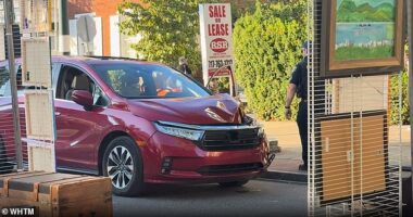 A woman driving a red minivan crashed through the KIPONA Festival in Pennsylvania about 6pm on Monday night, sparking chaos as terrified revelers ran to safety