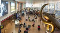 Flights delayed and cancelled after cyber attack hits European airports: Live updates today