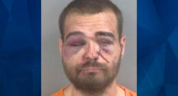 Florida Man Kills Mother, Attacks Officers, Police Dog After Multi-County Chase
