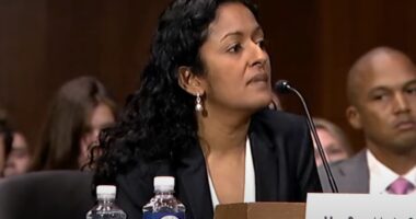 Foreign Citizens Shouldn't Be Allowed To Serve In US Government