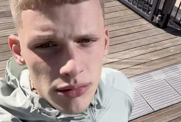 Freddy Brazier has finally broken his silence on the news he is set to become a father at the age of 20, in an Instagram post on Friday