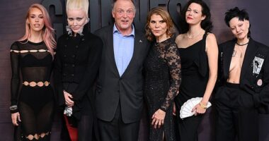 Meet the Guinnesses, whose head-turning presence this week overshadowed the launch of the Netflix period piece about the brewing clan. Pictured: The family at the premiere