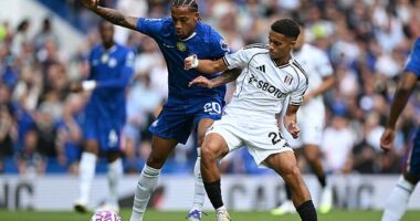 Fulham star Josh King has won the club's goal of the month for August - despite his strike not standing