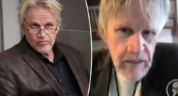 Gary Busey, 81, sentenced to 2 years probation for groping a woman