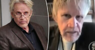 Gary Busey, 81, sentenced to 2 years probation for groping a woman
