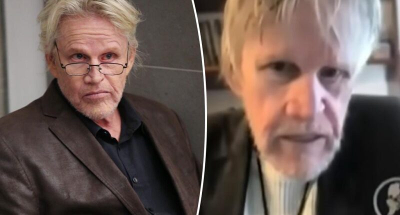 Gary Busey, 81, sentenced to 2 years probation for groping a woman