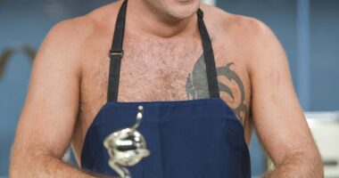 Gino D'Acampo cooking on This Morning while wearing only an apron in 2011