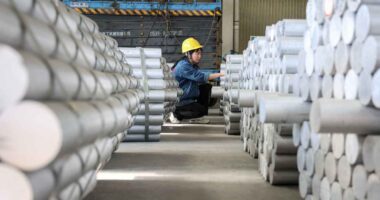 Gold hit a record and silver’s at a 14-year high — this Wall Street bank says two other commodities will join the party