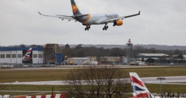 Government approves plan for second runway to open at Gatwick airport